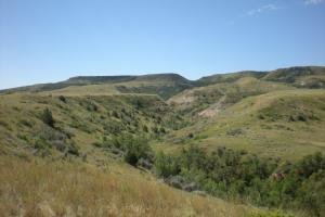 Battle of the Badlands