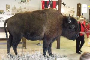 Prairie Thunder
