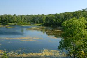 turtle mountains