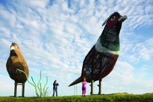 Pheasants