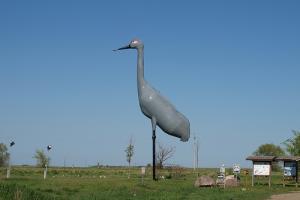 Crane