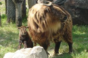 Red River Zoo