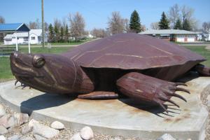 Turtle