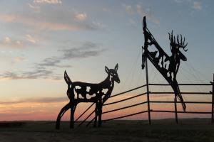 deer crossing