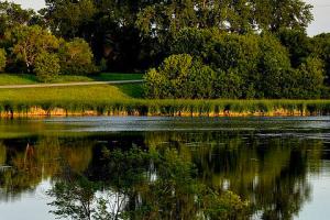 Turtle River State Park