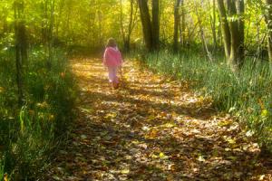 Hiking trails