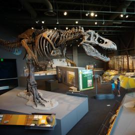 Dinosaur display at the Heritage Center