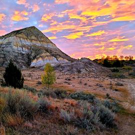 Little Missouri National Grasslands North Unit of TRNP