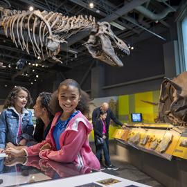 Dinosaur display at the Heritage Center