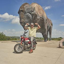 Josh Duhamel by Worlds Largest Buffalo
