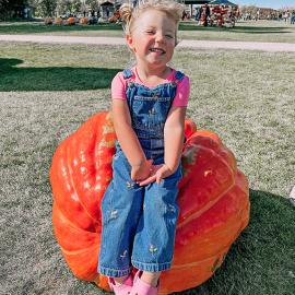 Berry Acres