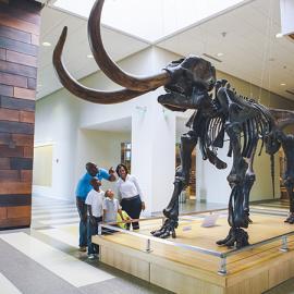 Heritage Center dinosaur display
