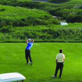 Golfing at Hawktree