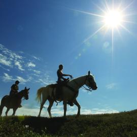Horseback Riding in North Dakota