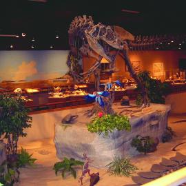Dino