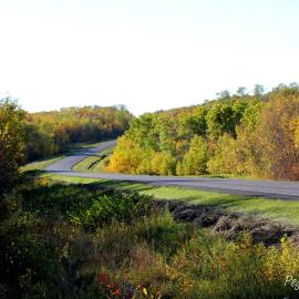 Turtle Byway