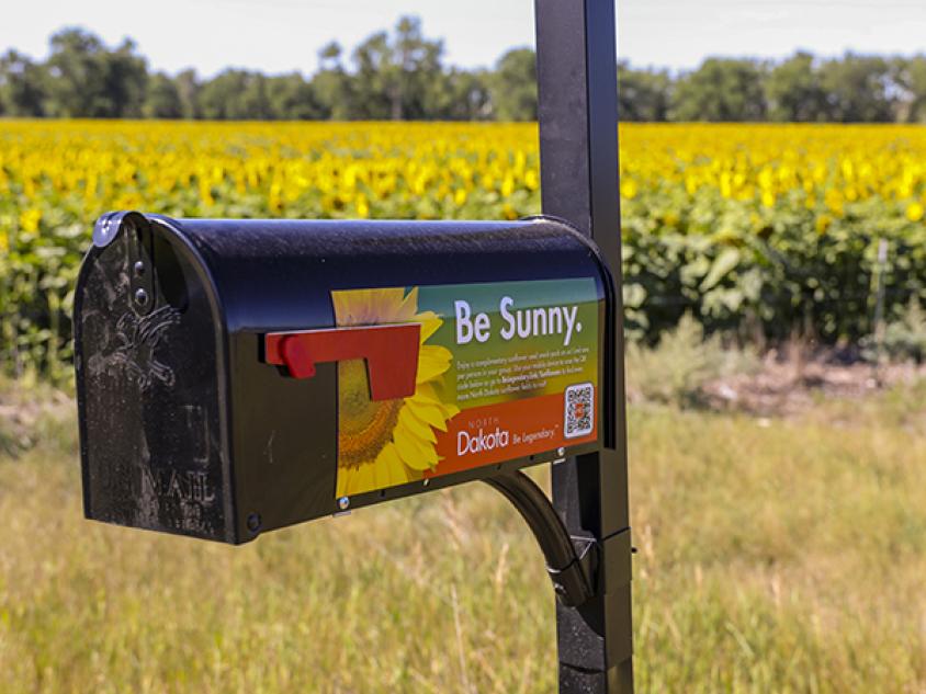 Sunflower mailbox