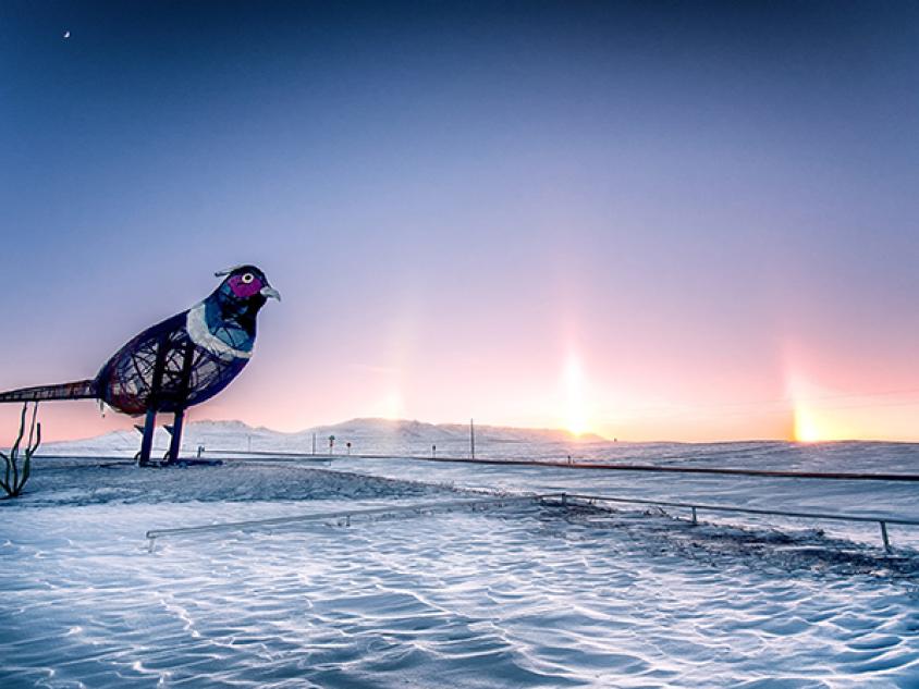 Enchanted Sundogs by Dustin White