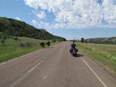 motorcycling