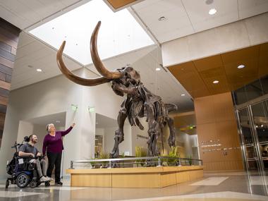 Viewing dinosaurs at the Heritage Center