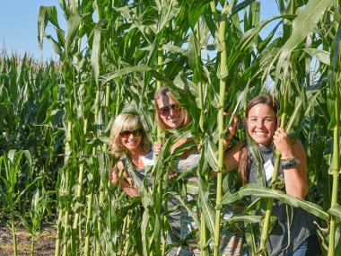Corn field with people taking a picture