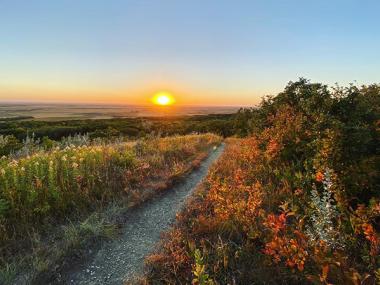 Fall foliage in Bottineau