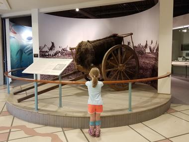 Pembina Museum