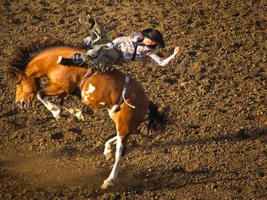 Horseback riding
