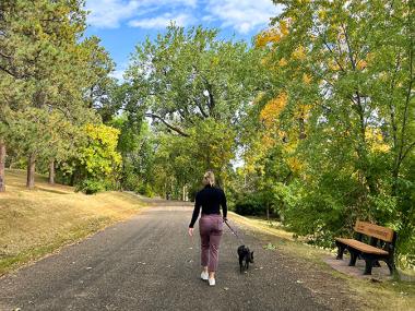 walking dog