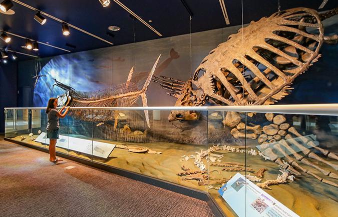 museum