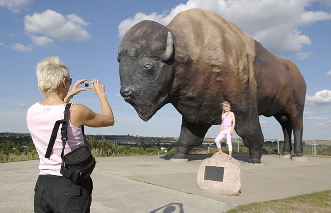 Buffalo worlds largest