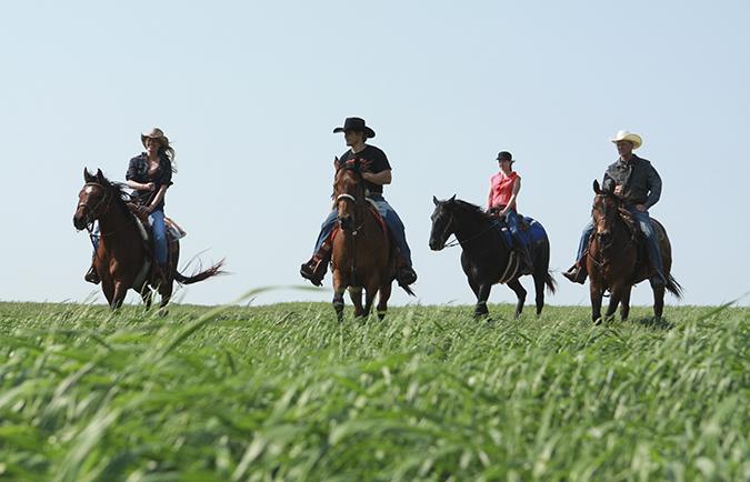 riding horses