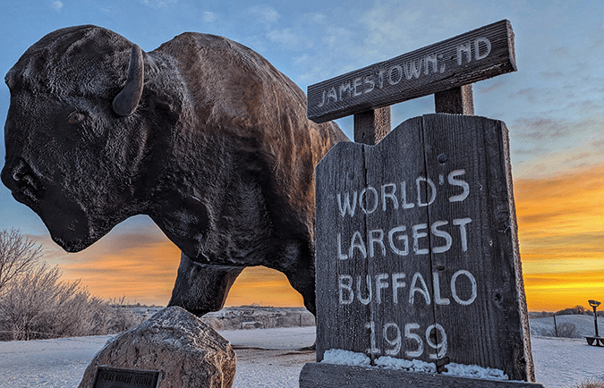 Worlds largest buffalo