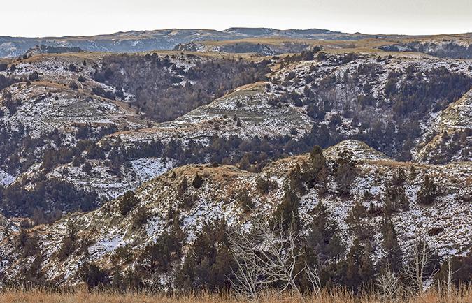 TRNP in the winter
