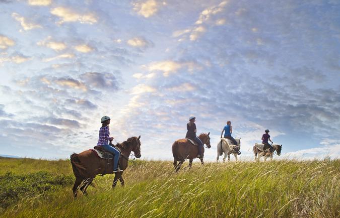 Horseback riding