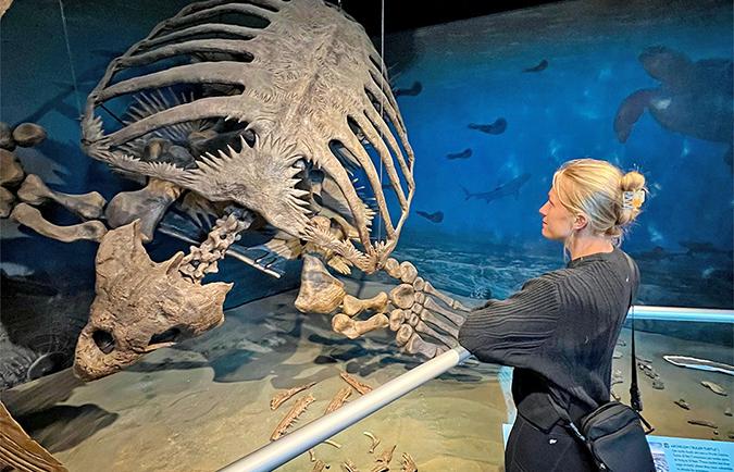 Giant turtle fossil at the Heritage Center