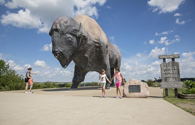 World's Largest buffalo