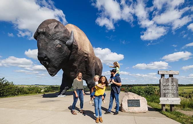 Worlds Largest buffalo