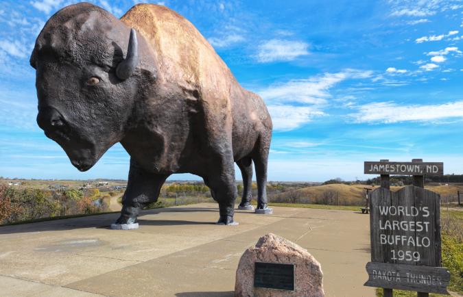 World's Largest Buffalo