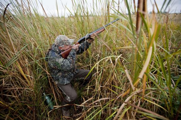 goose hunter