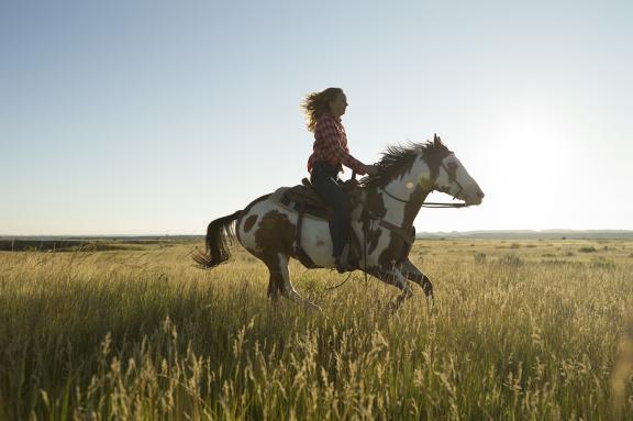 Horseback riding on the prairie