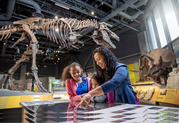 viewing dinosaurs at the ND Heritage Center and State Museum