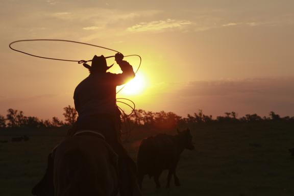 Ranching in the sunset