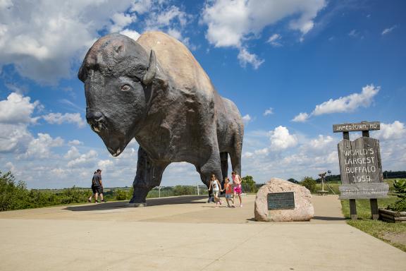 World's Largest Buffalo in Jamestown