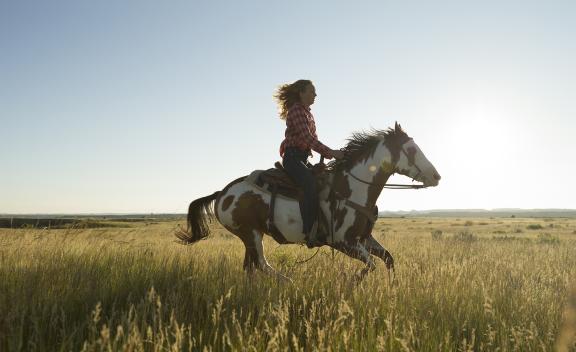 Horseback riding