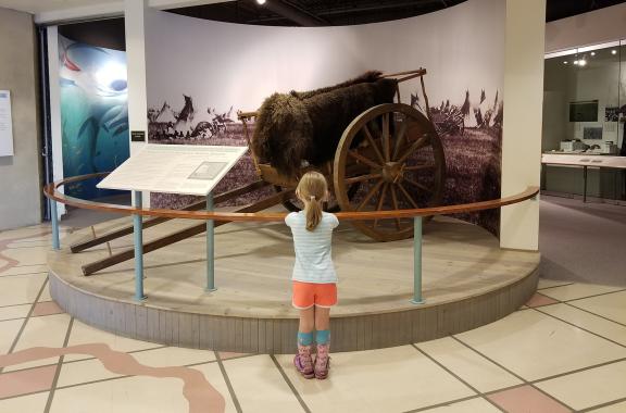Pembina Museum