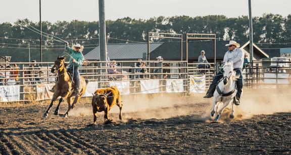 Jamestown rodeo