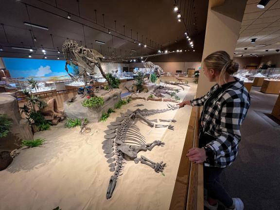 Dickinson Museum Center adn Badlands Dinosaur Museum
