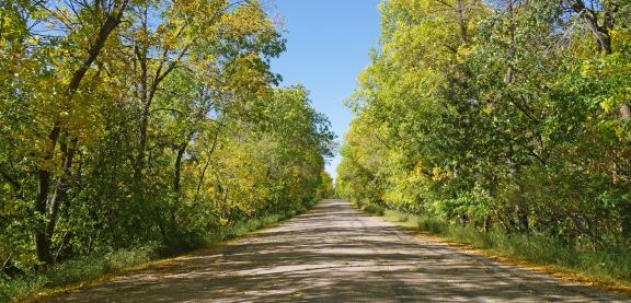 Grahams Island trail