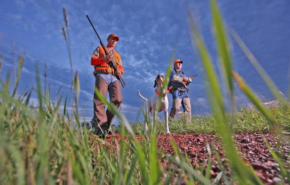 Pheasant hunting